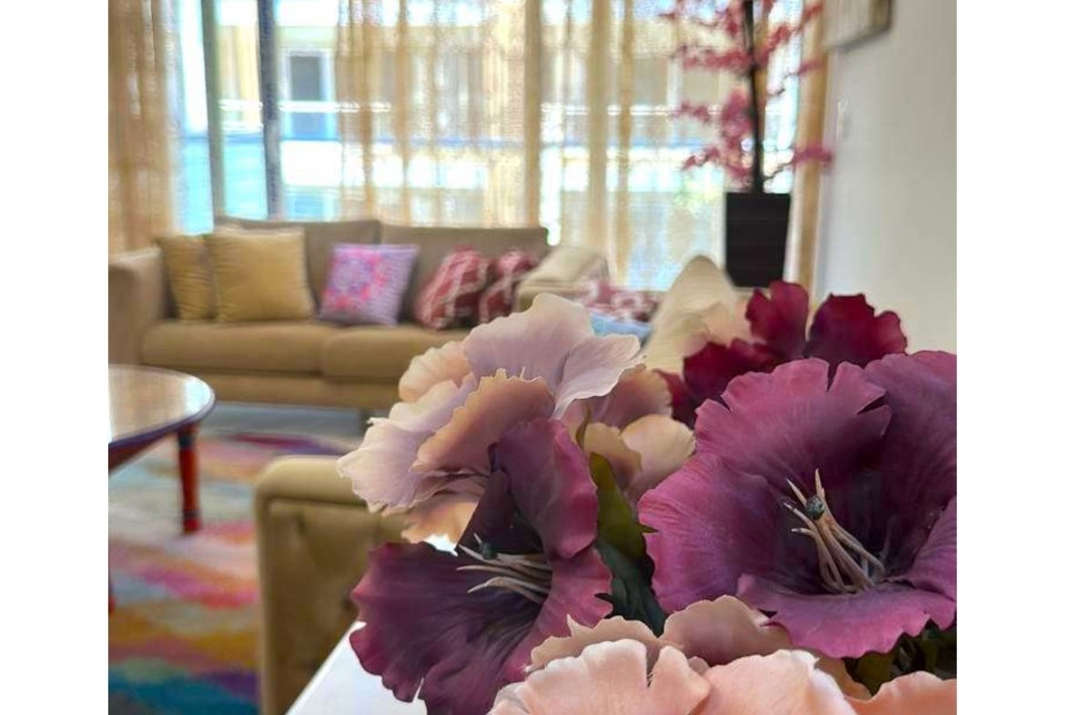 apartment fully furnished for rent in mountain view icily