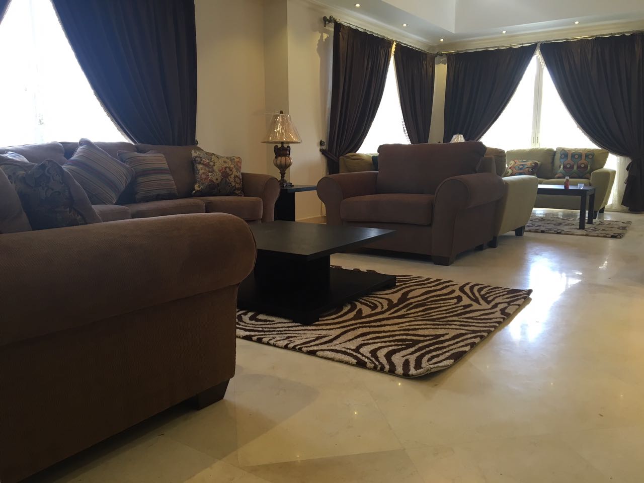 Living room with brown sofas and zebra rug - villa in Alba Alia, Mokattem