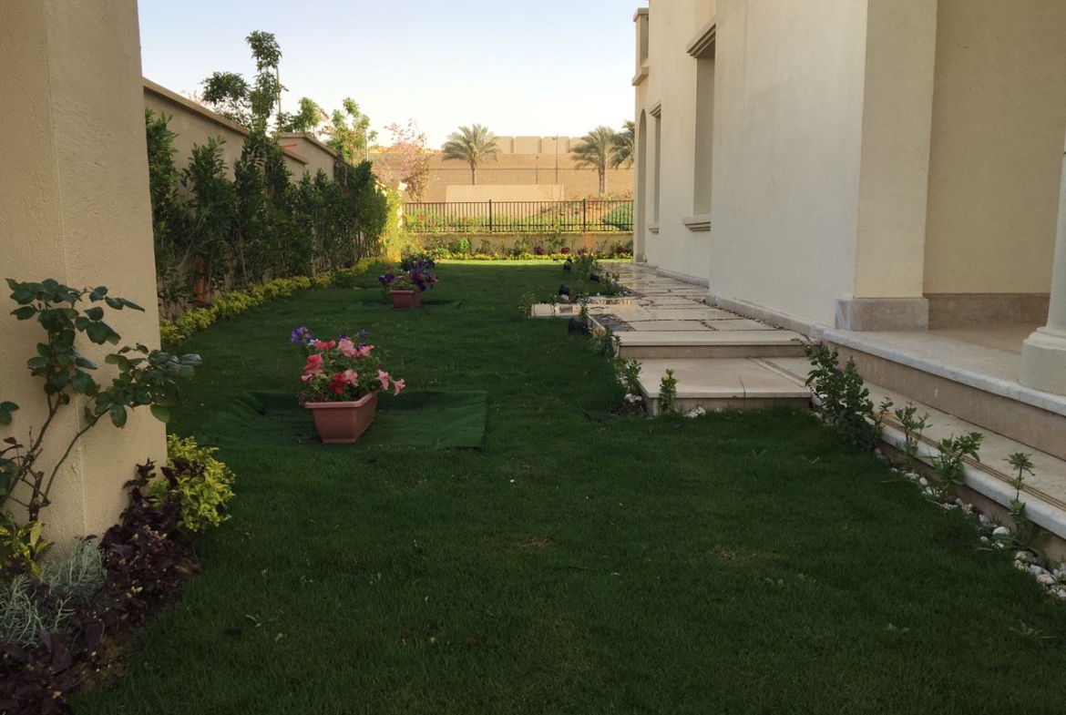 Side lawn between villa walls - villa in Alba Alia, Mokattem