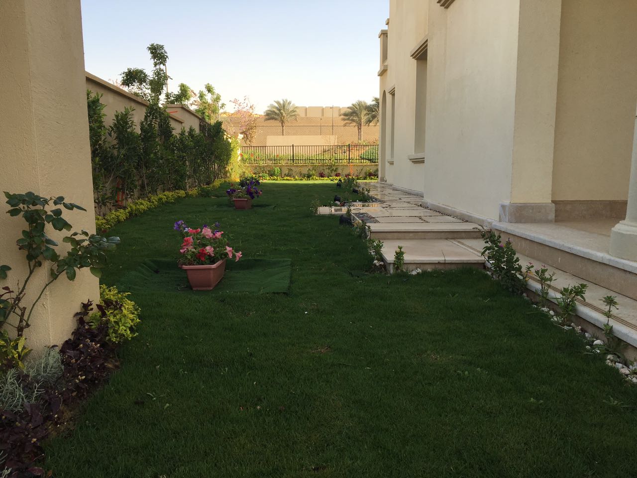 Side lawn between villa walls - villa in Alba Alia, Mokattem