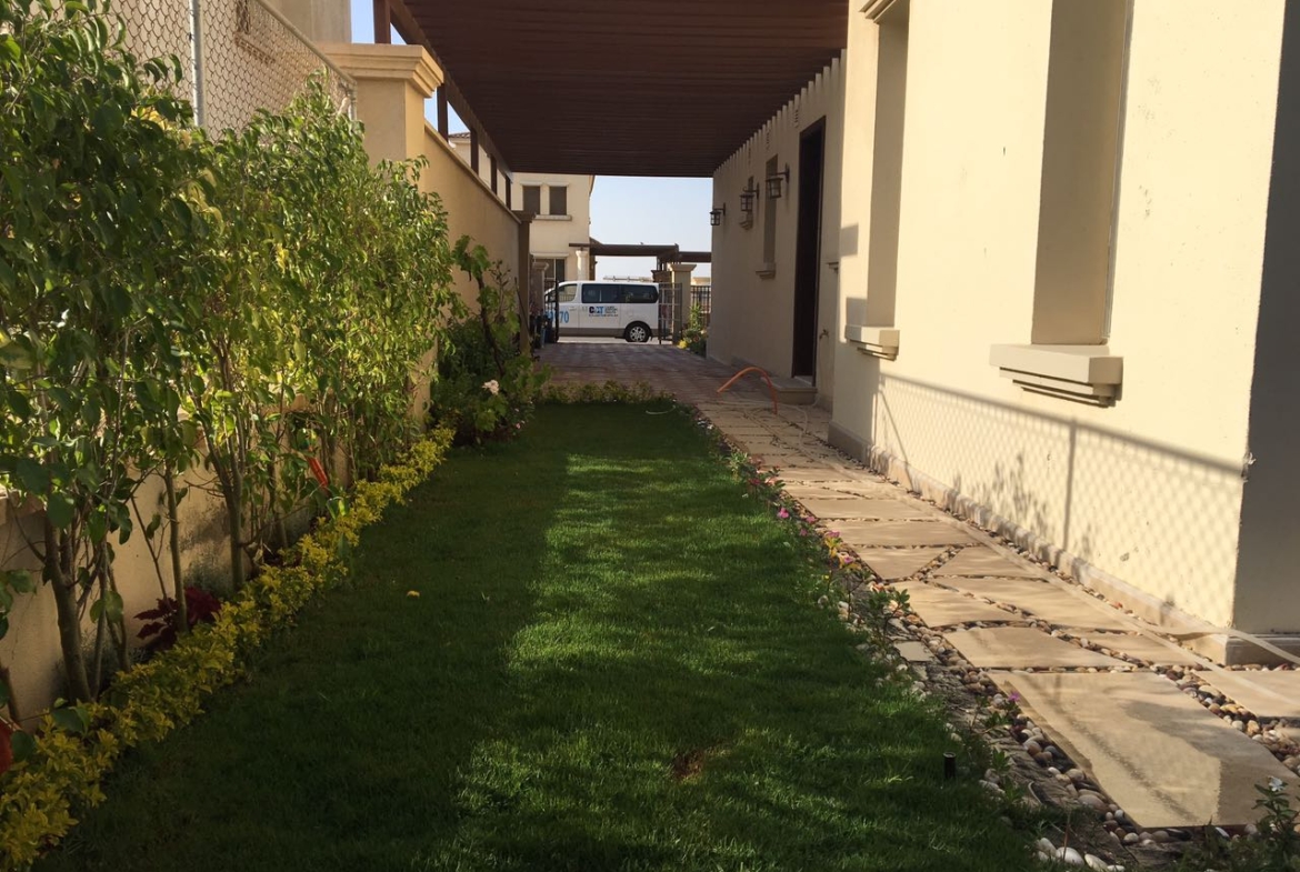 Narrow garden strip with a hedge - villa in Alba Alia, Mokattem