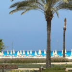 Palm tree and beach umbrellas along the turquoise sea - villa in Marassi Safi, North Coast
