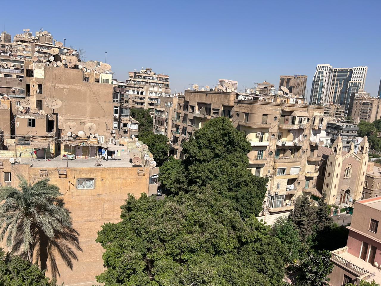 Dense city view with trees - shop in Zamalek