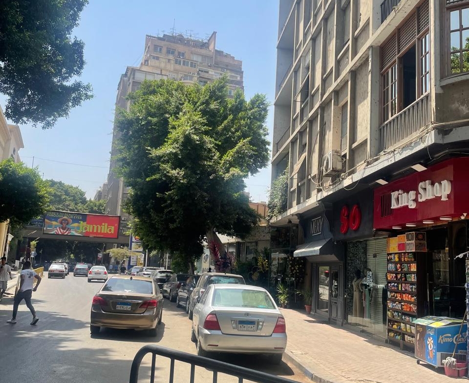 Street view from a building entrance - shop in Zamalek