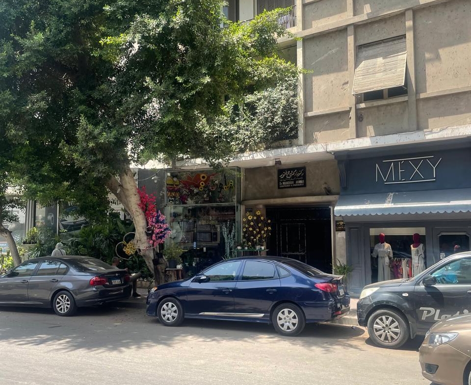 Residential street with trees and parked cars - shop in Zamalek
