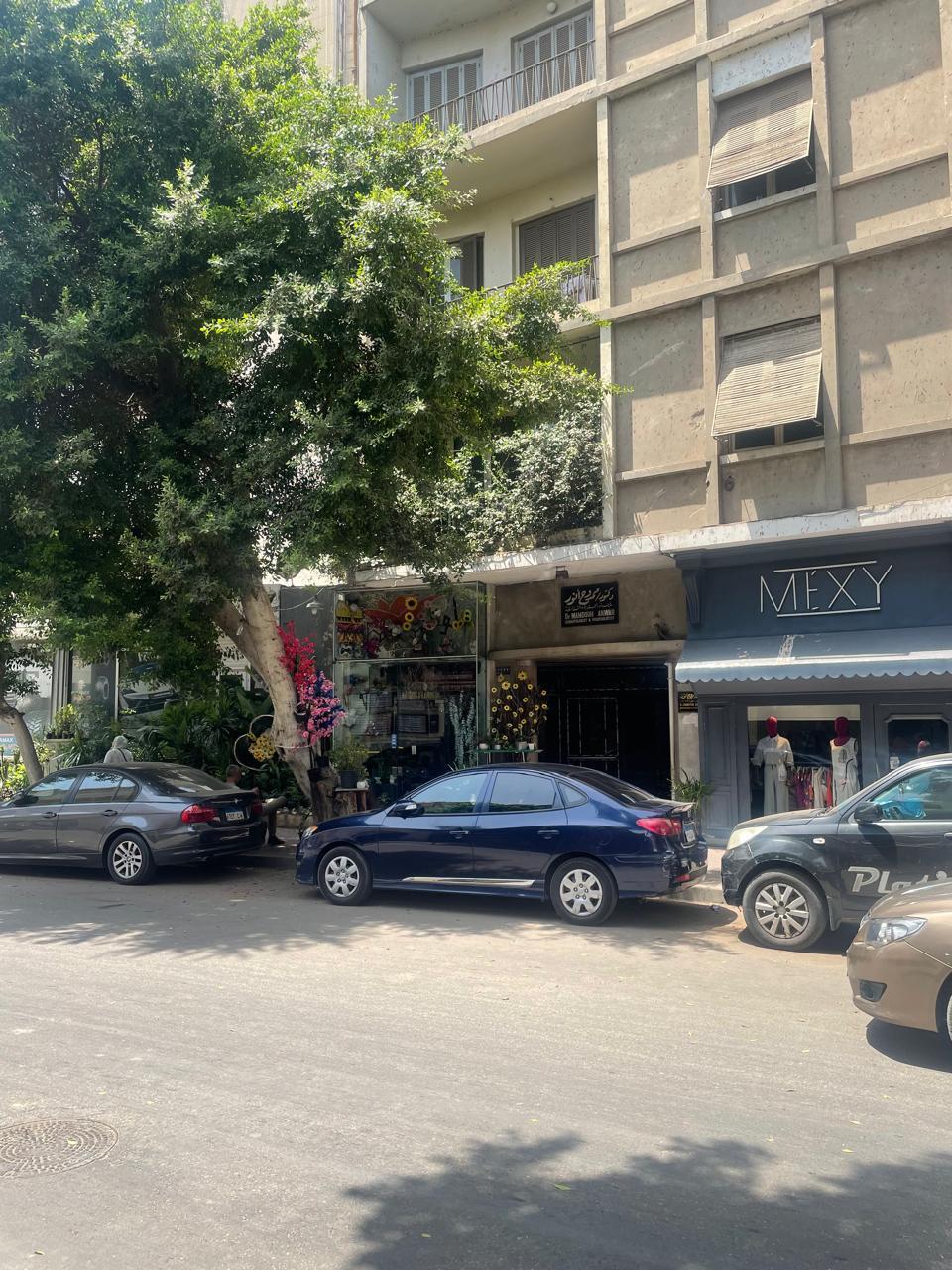 Residential street with trees and parked cars - shop in Zamalek