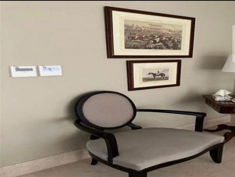 Round-back chair under two framed prints - penthouse in Lake View, New Cairo