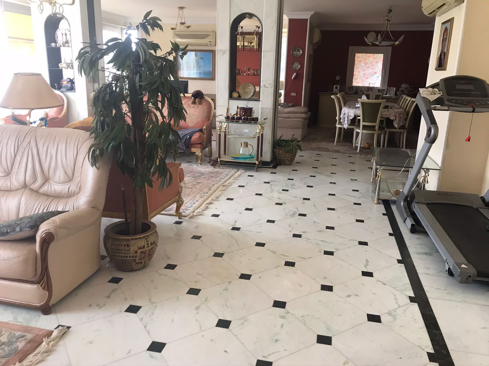 property-image-69f062933a879 ريسبشن ببلاط رخامي ونبتة كبيرة - شقة في الزمالك القاهرة
