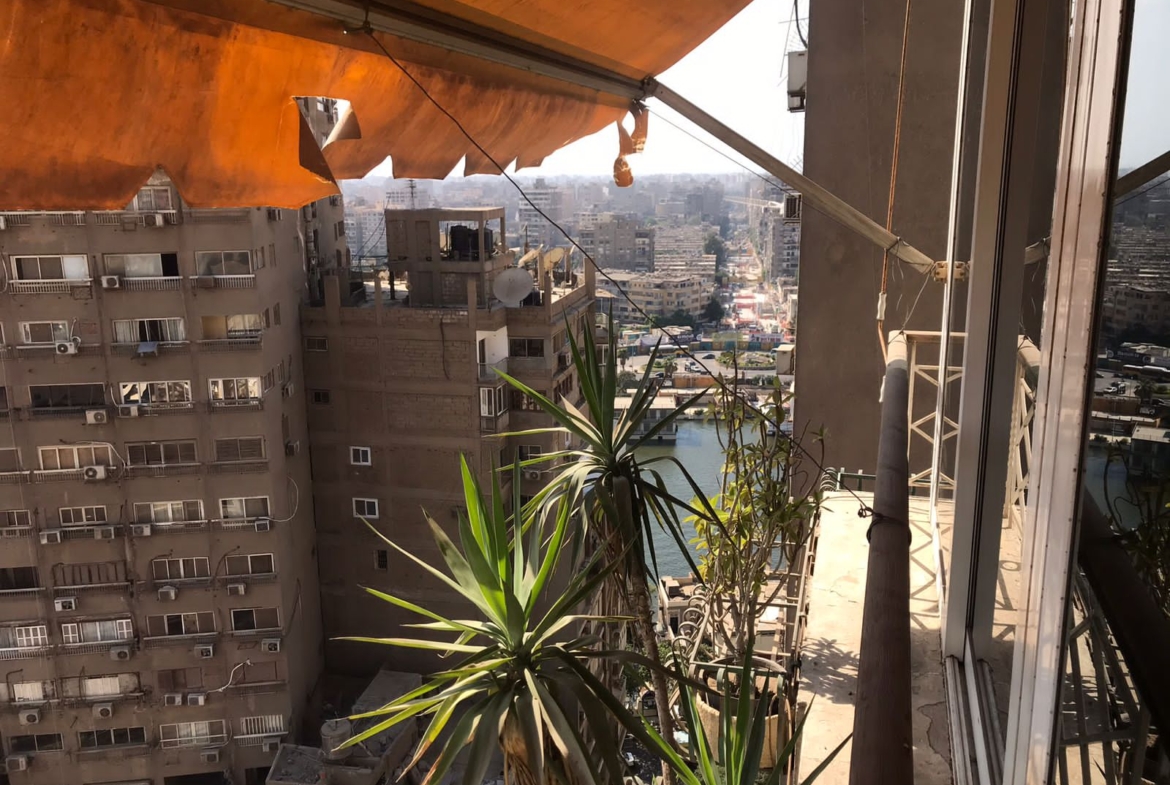 ركن بلكونة مع نباتات وأبراج المدينة - شقة في الزمالك القاهرة