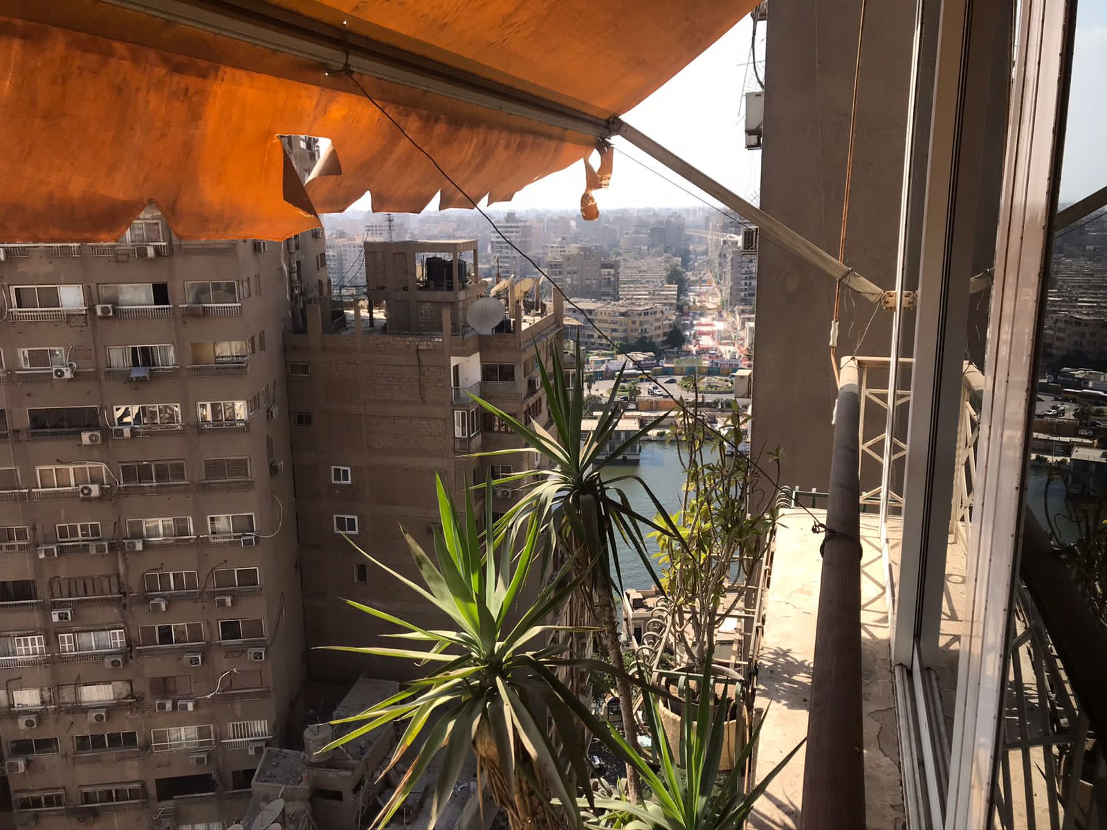 property-image-69f0629caf780 ركن بلكونة مع نباتات وأبراج المدينة - شقة في الزمالك القاهرة