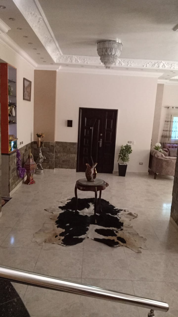 Entrance hall with a black rug and a dark door - duplex in South of Academy, New Cairo
