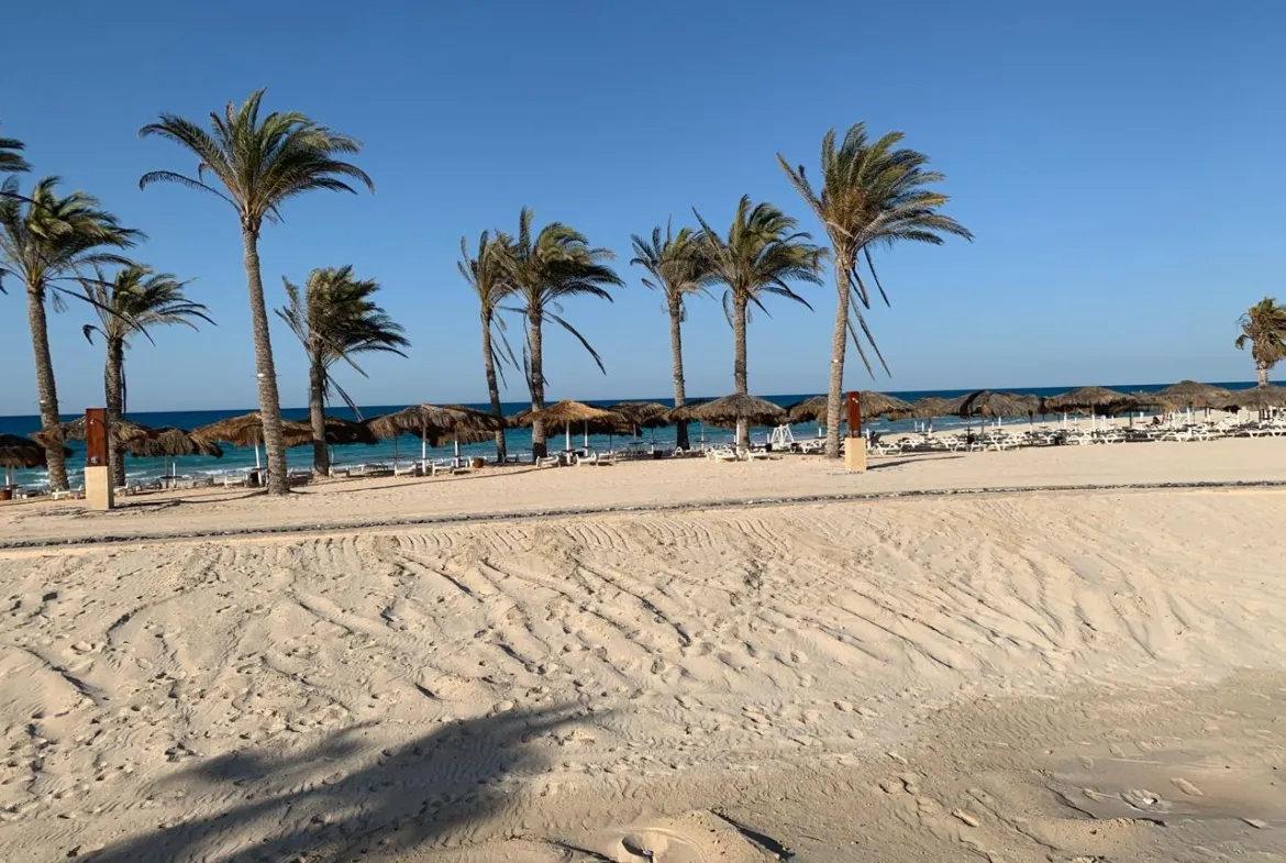 نخيل على شاطئ رملي تحت سماء زرقاء - شاليه في هاسيندا باي، الساحل الشمالي
