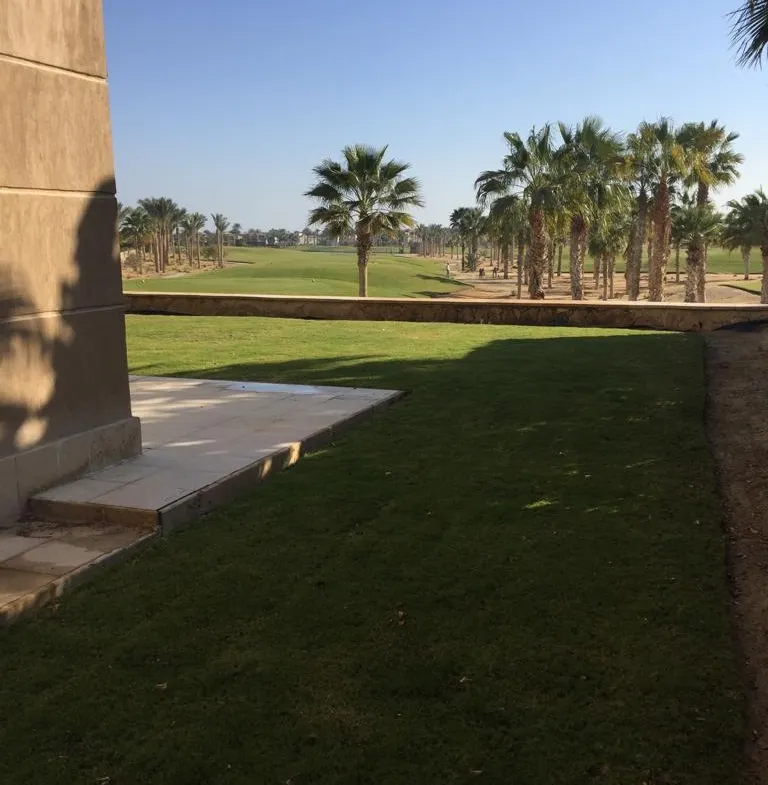 Lawn overlooking palm-lined grounds - villa in Little Venice, Ain Sokhna