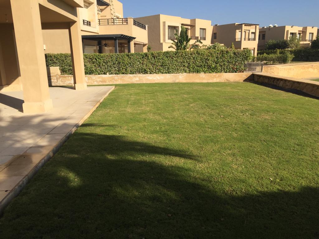 Garden lawn outside the covered terrace - villa in Little Venice, Ain Sokhna