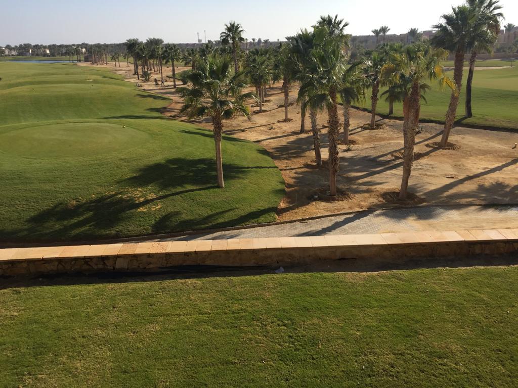 Golf greens and palm trees from the terrace - villa in Little Venice, Ain Sokhna
