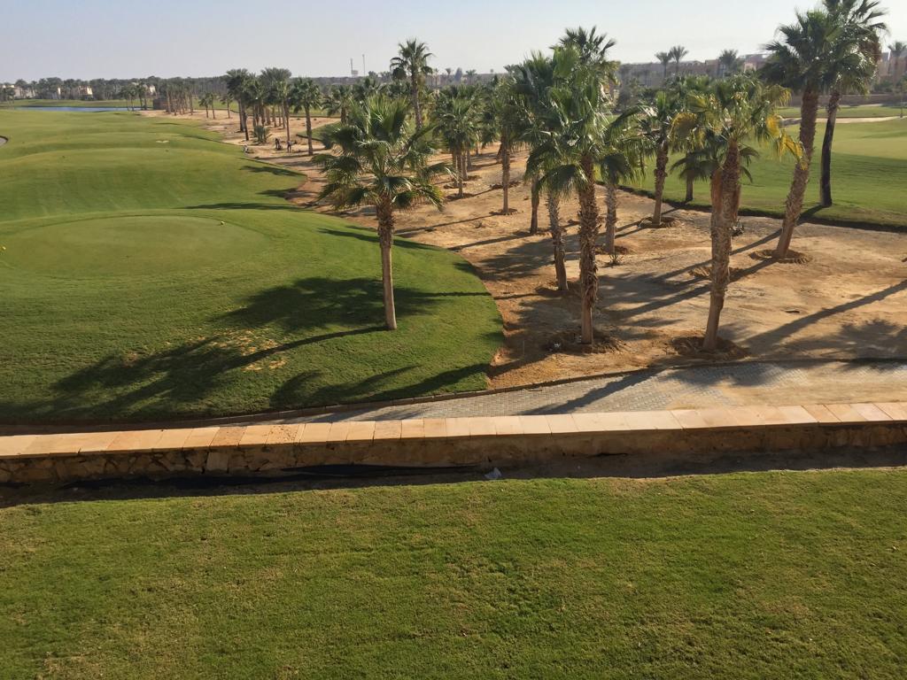 View across golf grounds and palm trees - villa in Little Venice, Ain Sokhna