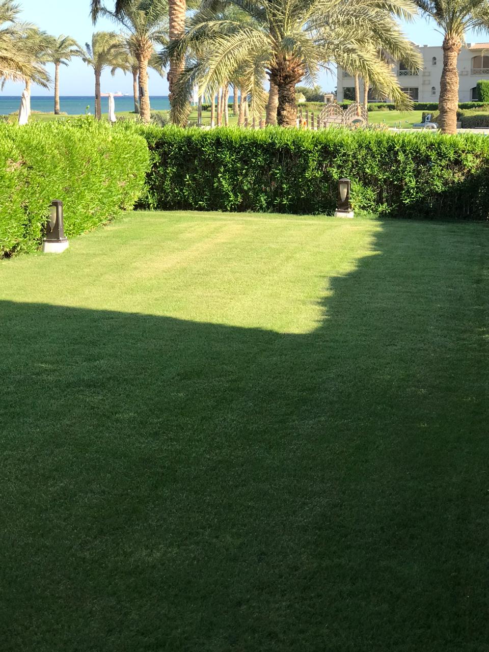property-image-69f0c506635b7 Green lawn edged with hedges - twinhouse in La Vista 4, Ain Sokhna
