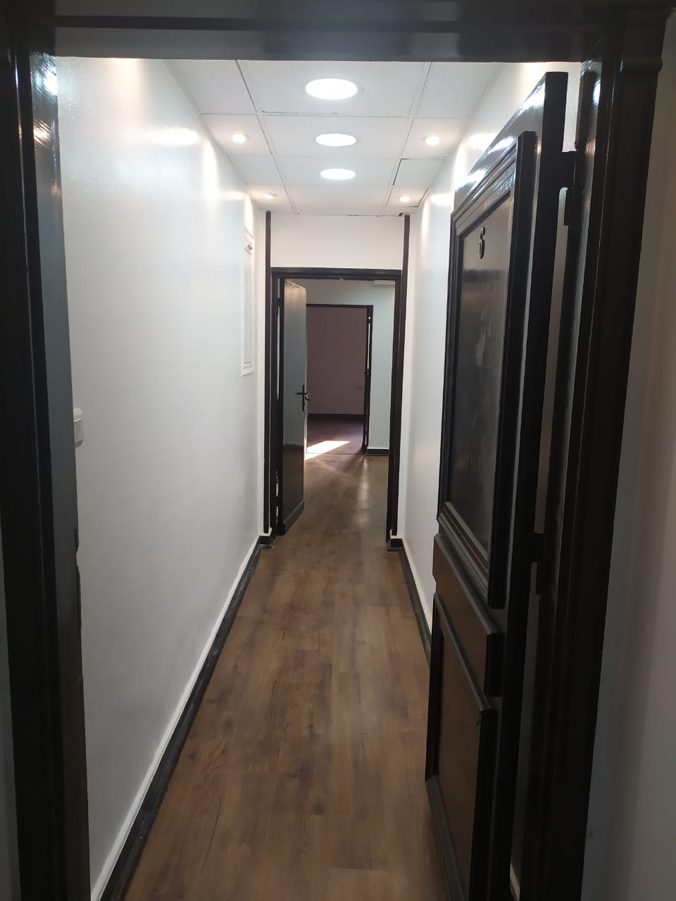 Narrow hallway with dark wooden doors - apartment in Zamalek