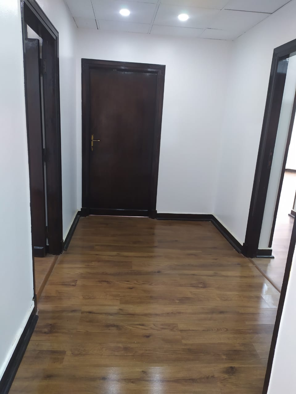 Entrance hall with wooden floor and dark doors - apartment in Zamalek