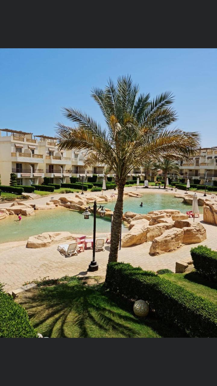 property-image-69f1376896c52 حمام سباحة بجوار نخلة - شاليه في بيلاجيو بالعين السخنة