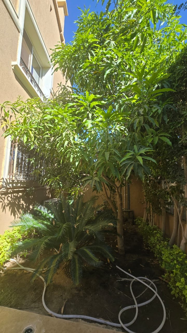 property-image-69ff13c51ddff توين هاوس 4 غرف للبيع في لا روز كومباد، القاهرة الجديدة