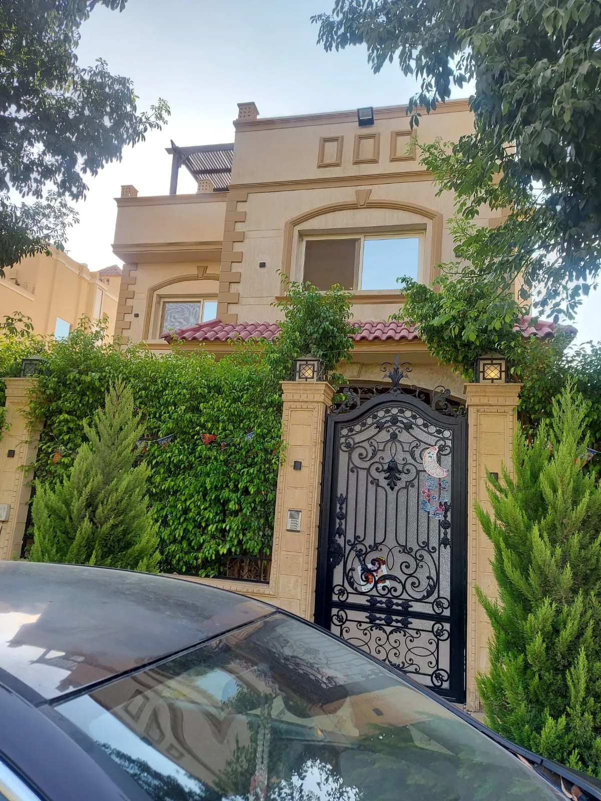 property-image-69ffd8a017740 بوابة فيلا بحديد زخرفي وسياج أخضر - فيلا في زيزينيا، القاهرة الجديدة