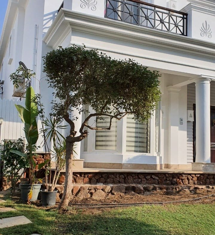 standalone villa for sale in Mountain View 1, New Cairo - photo 2 | فيلا منفصلة للبيع في ماونتن فيو 1، القاهرة الجديدة - صورة 2