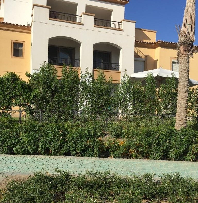768