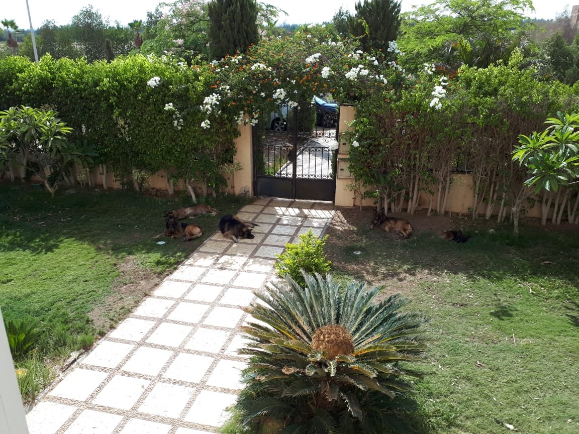 5-02-1106-source-03 7 Bedroom Villa for Sale in Golf Solimaniya, New Cairo