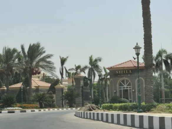 Access road with palm trees in Stella Heliopolis Compound