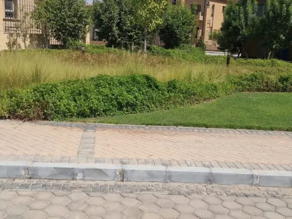 Garden view by the twin house in Palma, New Cairo