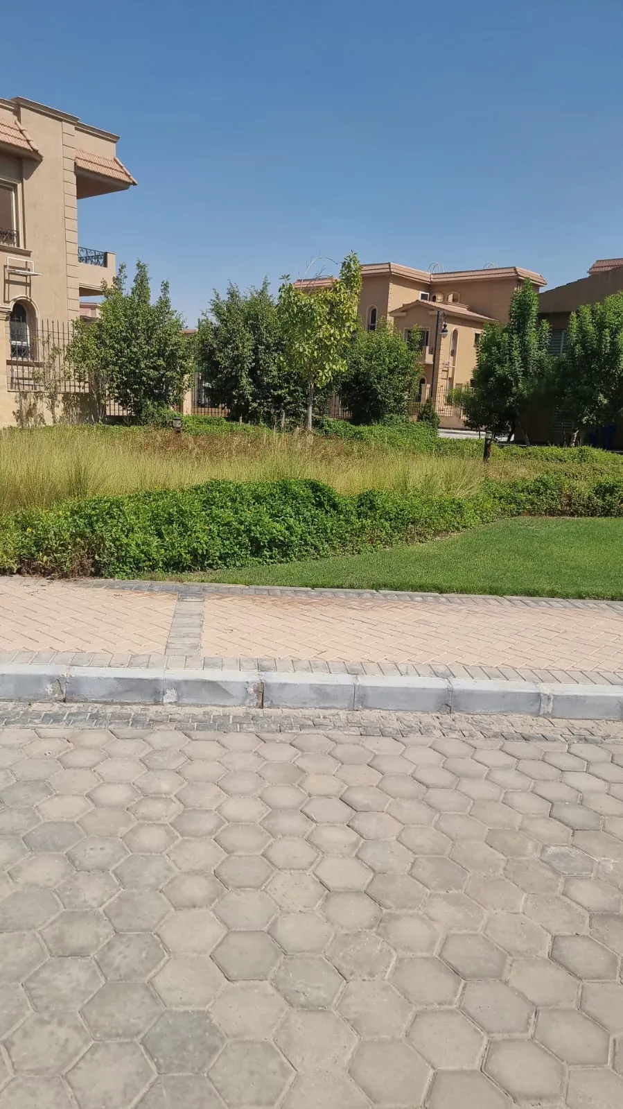 Garden view by the twin house in Palma, New Cairo
