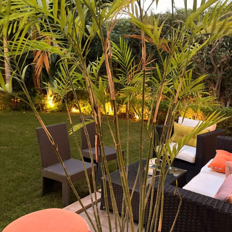 Twinhouse for sale in Moon Valley 1 New Cairo - توين هاوس للبيع في مون فالي 1 التجمع الخامس 491-09