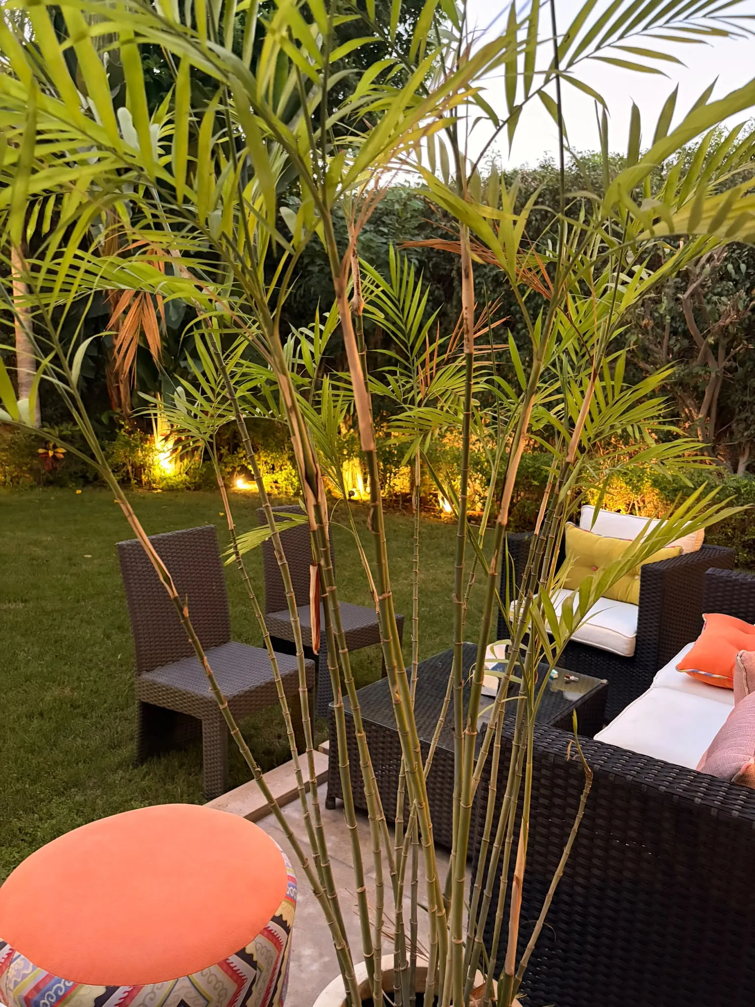 Twinhouse for sale in Moon Valley 1 New Cairo - توين هاوس للبيع في مون فالي 1 التجمع الخامس 491-09