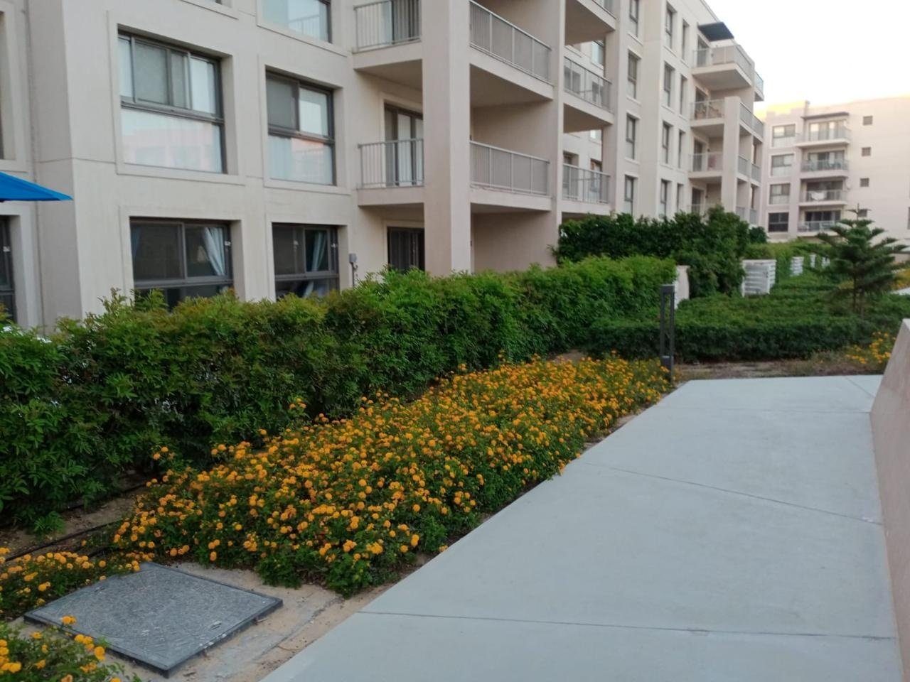 16-marassi-marina2-chalet-sale-229-00 Landscaped paths around the residential buildings, Marassi Marina 2 chalet for sale | ممرات ولاندسكيب بين المباني السكنية، شاليه للبيع في مراسي مارينا 2