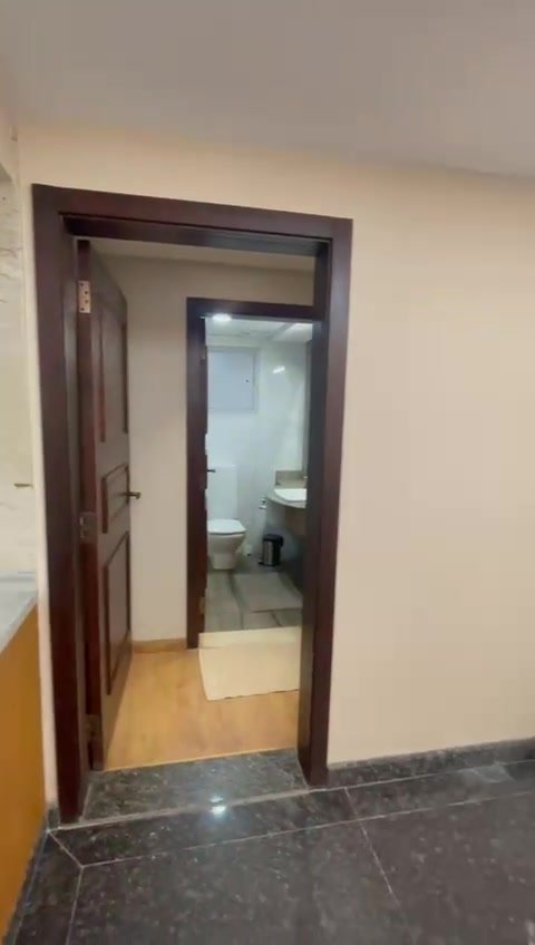 231-f04 Tall mirror beside a dark wooden door - hotel apartment in Marassi