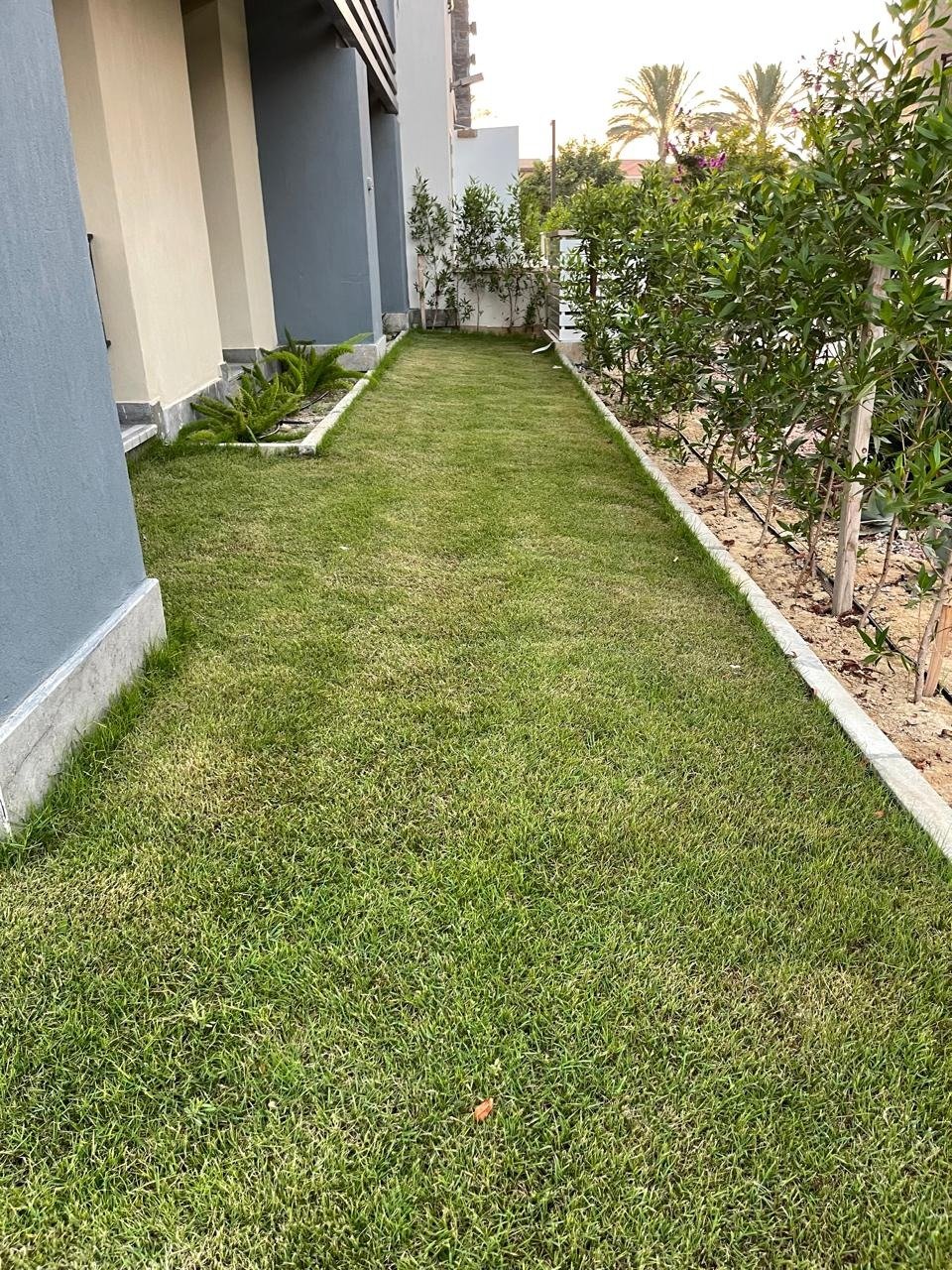 32-marassi-marina-297-09 Side garden beside the chalet, chalet for rent in Marassi Marina 1, North Coast | حديقة جانبية بجوار الشاليه، شاليه للإيجار في مراسي مارينا 1، الساحل الشمالي