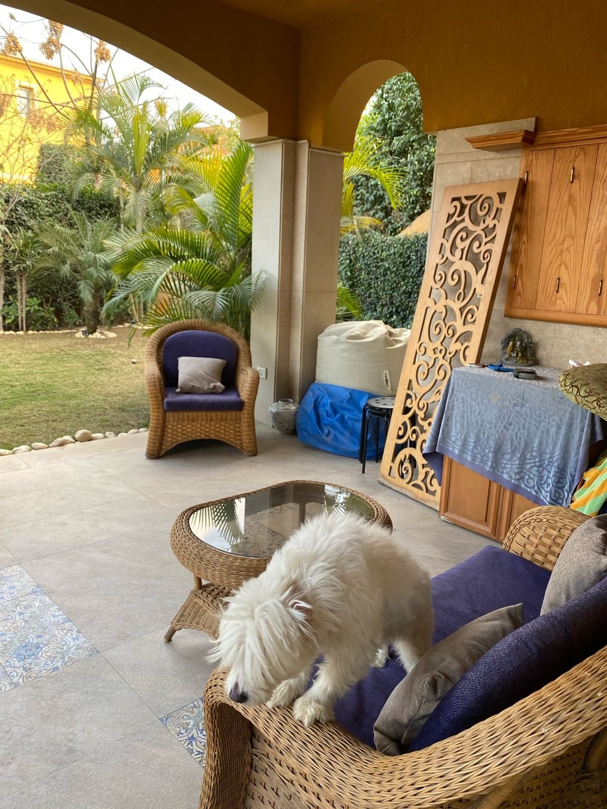 Covered garden terrace, Deyar twin house for sale | تراس الحديقة المغطى، توين هاوس للبيع في ديار