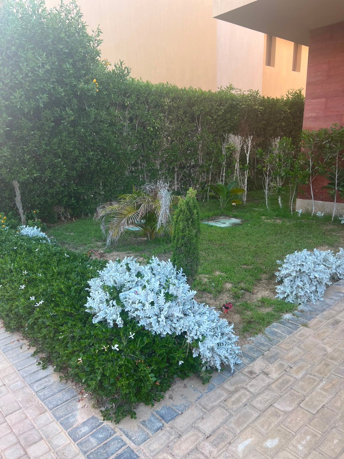 75-marassi-blanca-308-03 Landscaped garden paths, villa for rent in Marassi Blanca, North Coast | ممرات الحديقة المنسقة، فيلا للإيجار في مراسي بلانكا، الساحل الشمالي