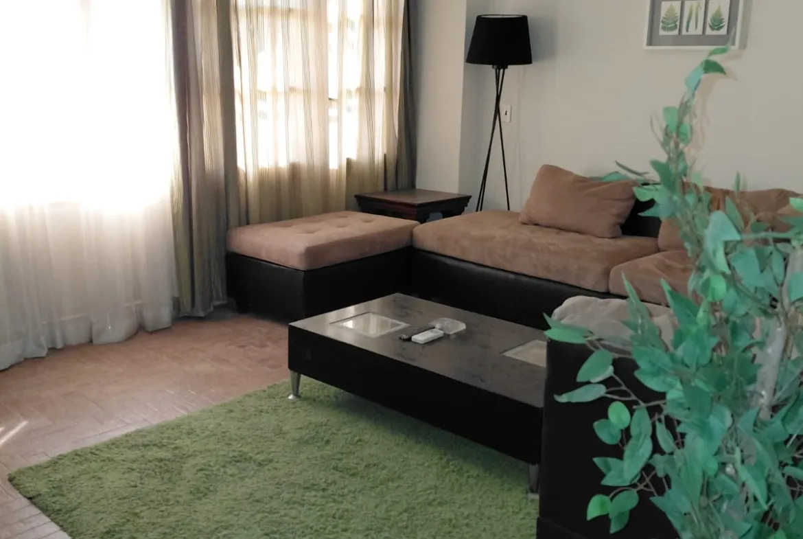 Sitting corner with a green rug and a tall indoor plant - villa in El Yasmeen 1 Villas, New Cairo