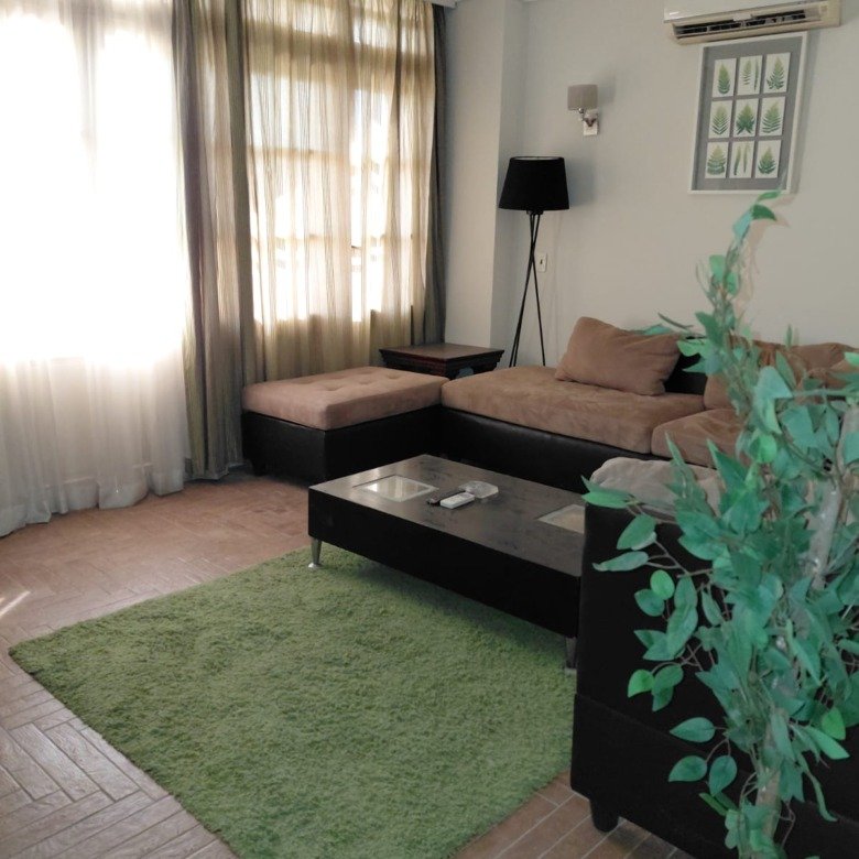 Sitting corner with a green rug and a tall indoor plant - villa in El Yasmeen 1 Villas, New Cairo