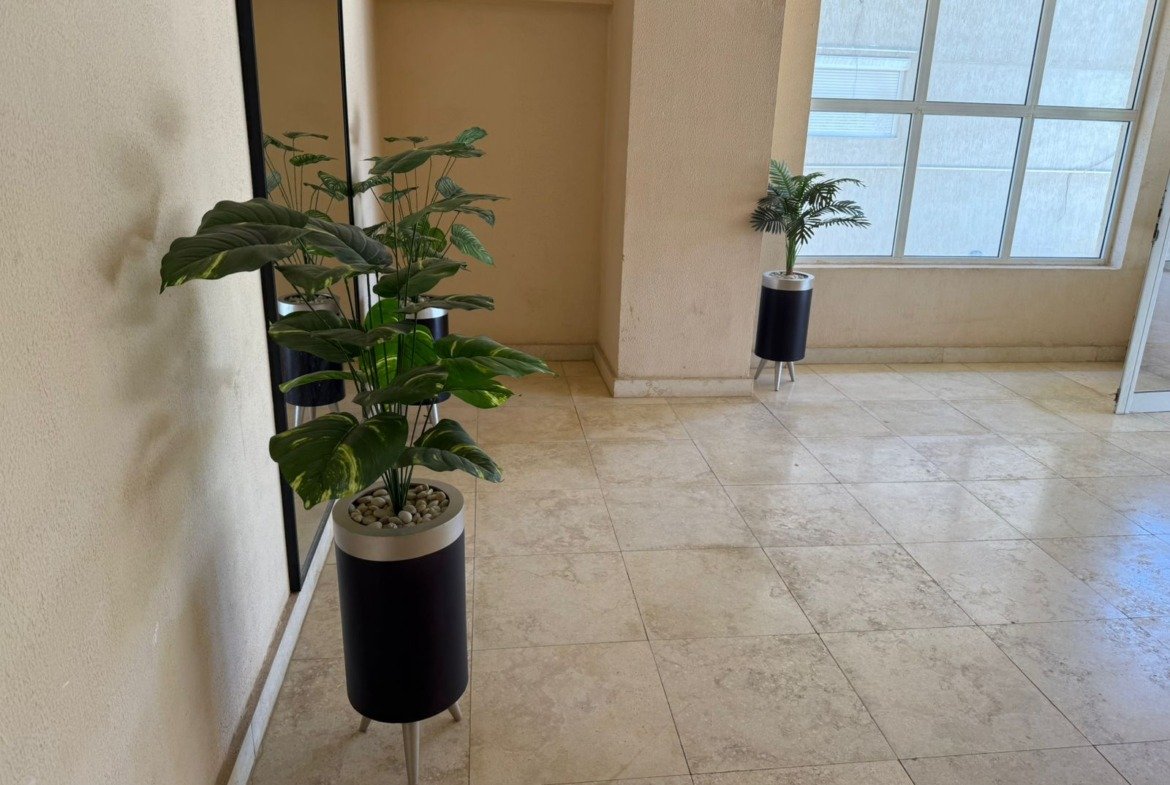 Hall with plants and large window - apartment in Fifth Square, New Cairo