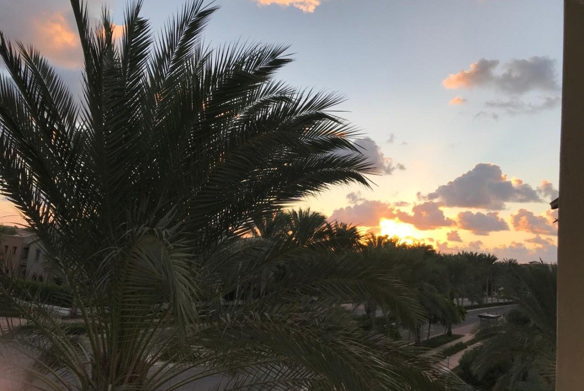 Furnished chalet for sale in Catania Marassi North Coast - sunset palm view