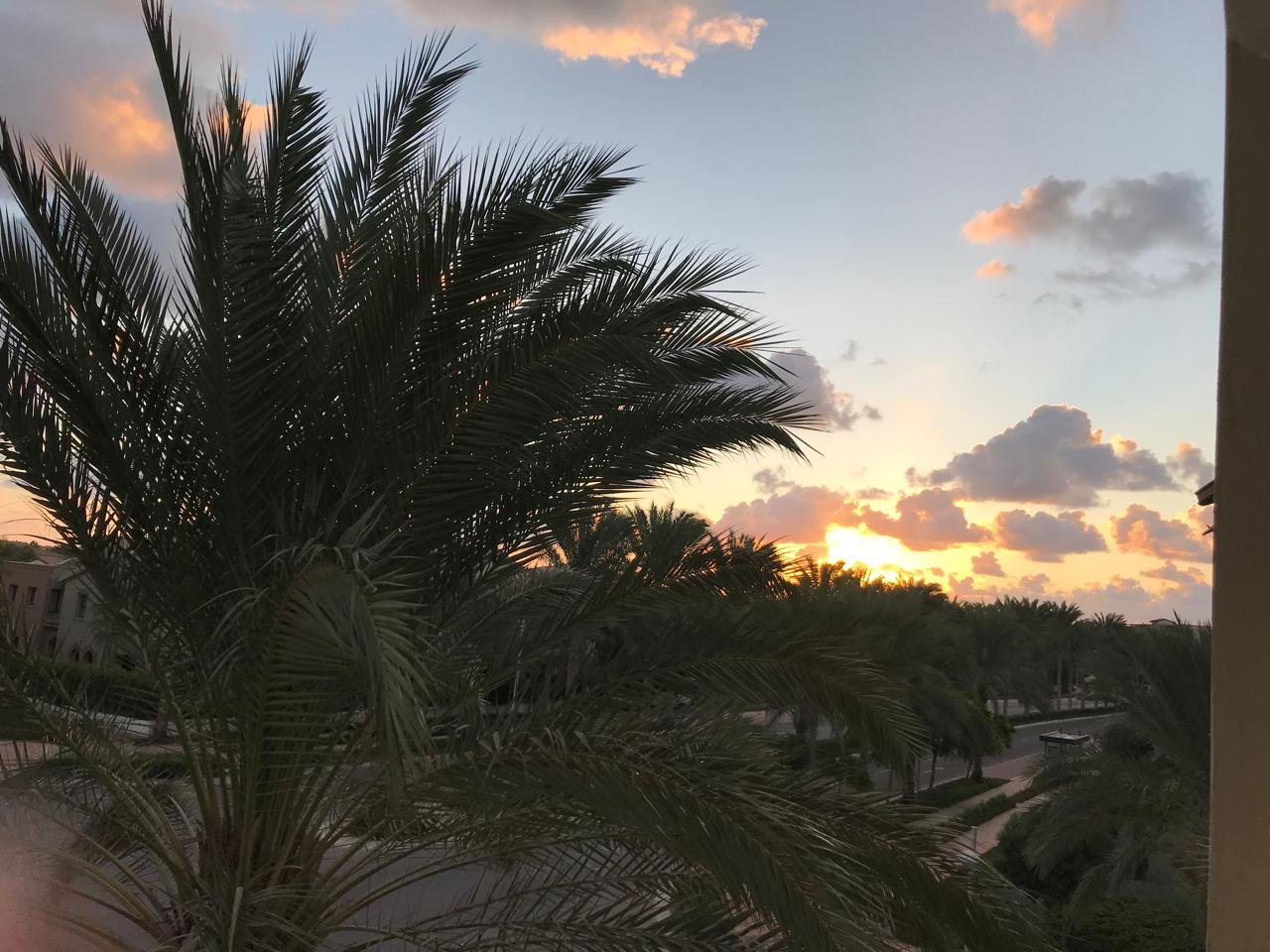 Furnished chalet for sale in Catania Marassi North Coast - sunset palm view