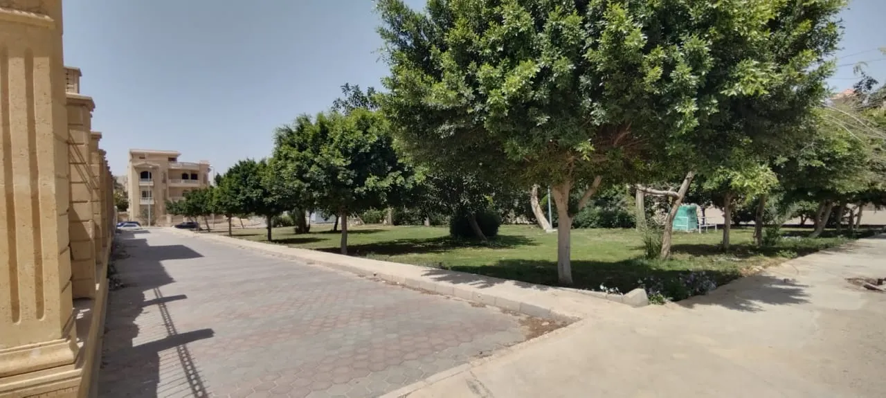 شارع بأشجار بجوار المباني السكنية - شقة منتجع النخيل بالقاهرة الجديدة