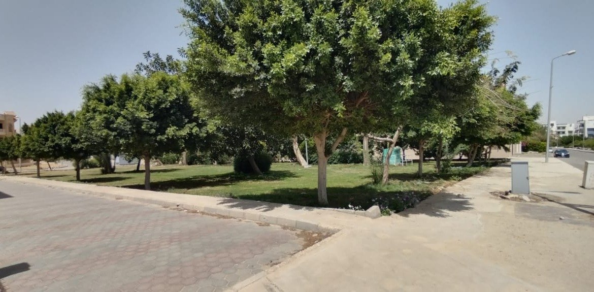 شقة للبيع بتشطيب فندقي في منتجع النخيل | 250 متر بإطلالة على النادي