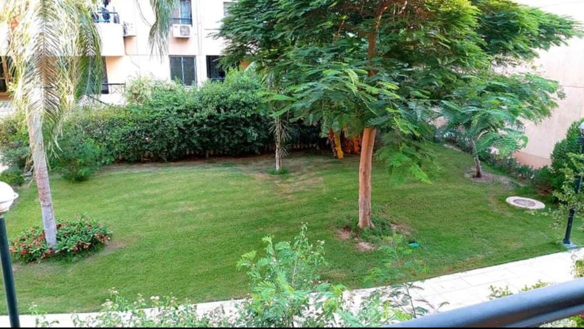 Garden lawn with a large tree seen from the balcony - apartment in El Rehab New Cairo – 3 Bedrooms 183 sqm – Garden View, New Cairo