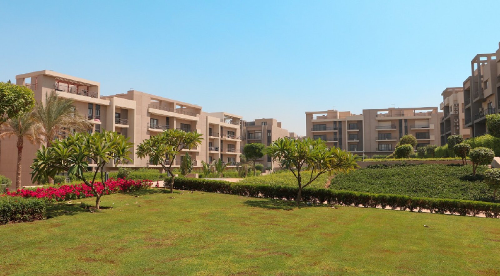 Lawn and hedges in front of the apartment buildings - apartment in Fifth Square, New Cairo