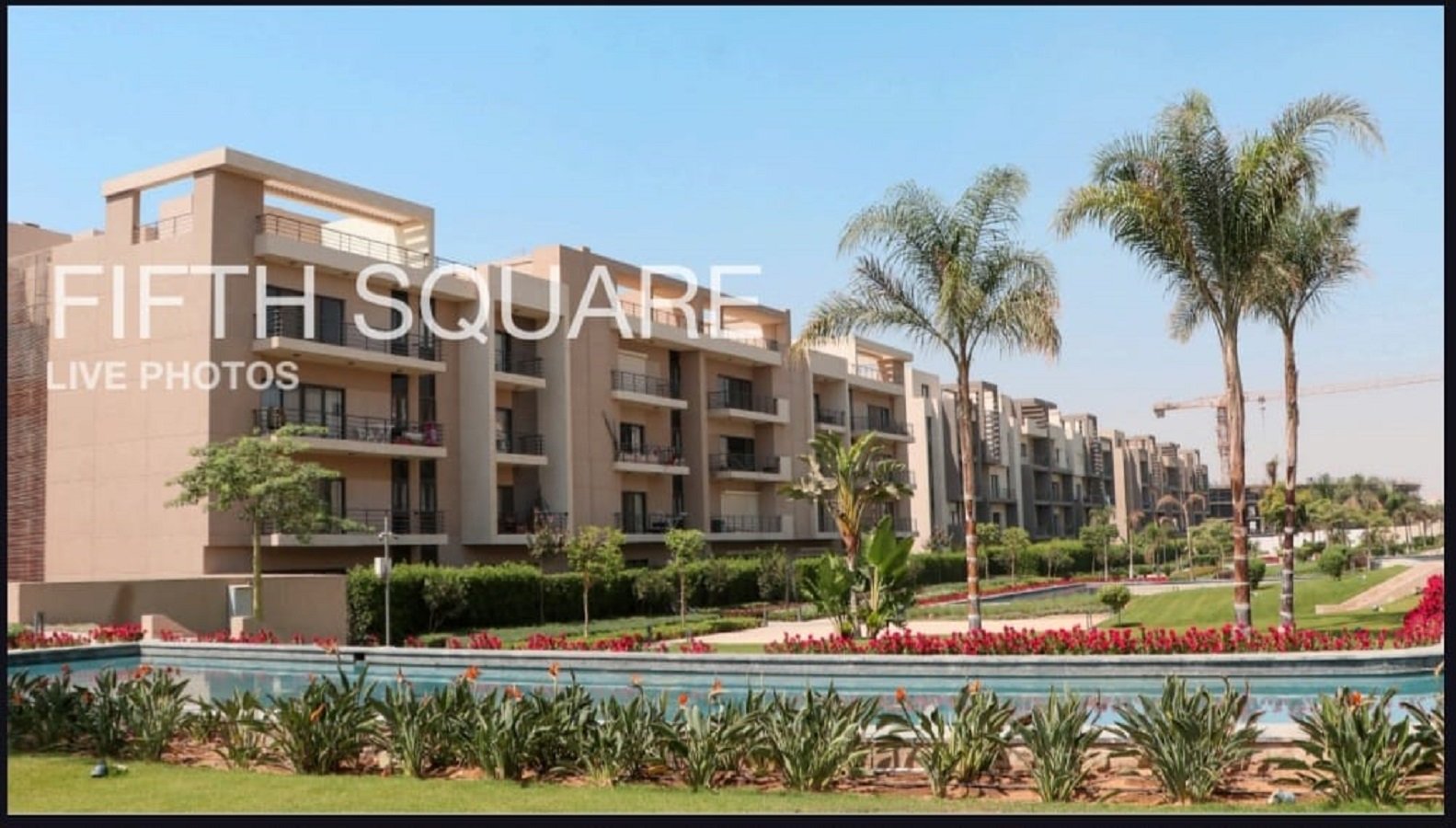 Palm trees and pool beside the apartment buildings - apartment in Fifth Square, New Cairo