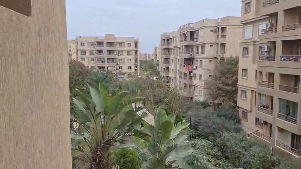 Palm trees and apartment blocks seen past a balcony column - apartment in Madinaty – 3 Bedrooms 105 sqm Garden View Catch Price, New Cairo